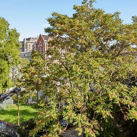 Ultracentral Quiet Modern Studio With Free Parking Lejlighed